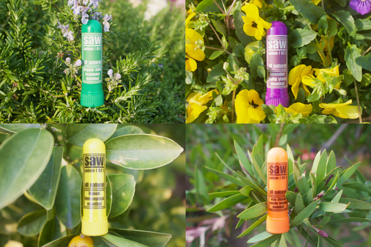 ヤードム 4本 セット(2種類)