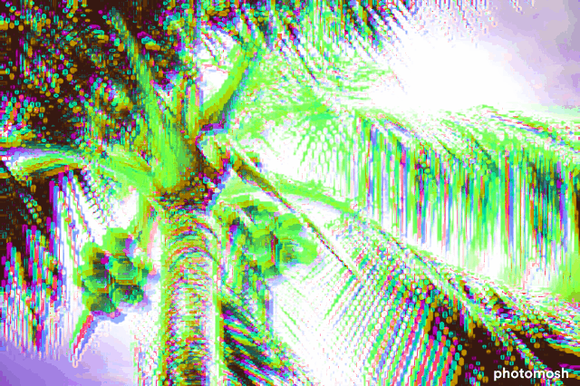 ココナッツ