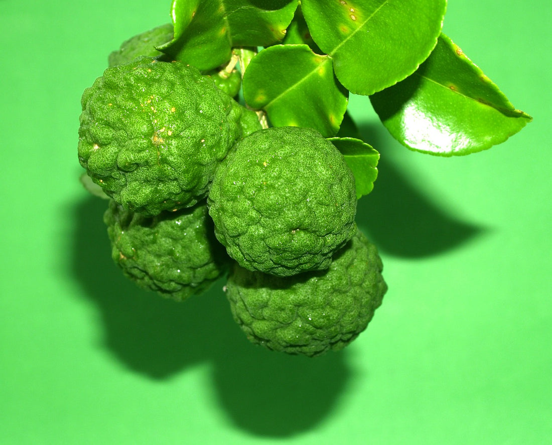 柑橘系精油の光毒性